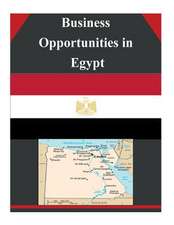 Business Opportunities in Egypt