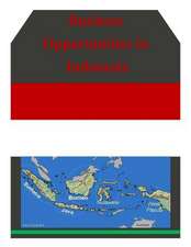 Business Opportunities in Indonesia