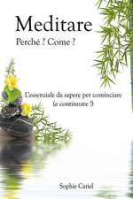 Meditare - Perche? Come? L?essenziale Da Sapere Per Cominciare (E Continuare!)