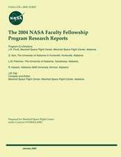 The 2004 NASA Faculty Fellowship Program Research Reports