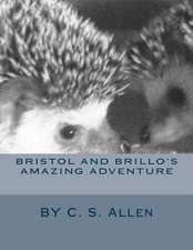 Bristol and Brillo's Amazing Adventure