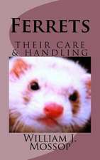 Ferrets