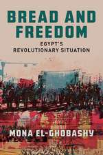 Bread and Freedom – Egypt`s Revolutionary Situation