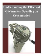 Understanding the Effects of Government Spending on Consumption