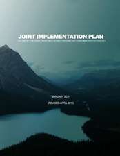 Joint Implementation Plan 301-326 of the Dodd-Frank Wall Street Reform and Consumer Protection ACT