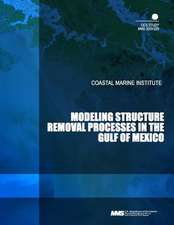 Modeling Structure Removal Processes in the Gulf of Mexico