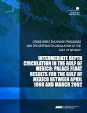 Intermediate Depth Circulation in the Gulf of Mexico