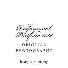 Professional Portfolio 2014