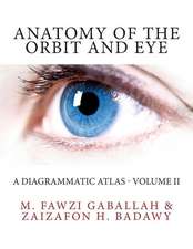 Anatomy of the Orbit and Eye