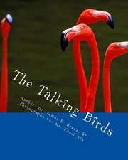 The Talking Birds