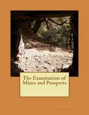 The Examination of Mines and Prospects