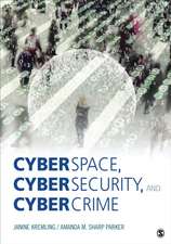 Cyberspace, Cybersecurity, and Cybercrime