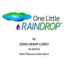 One Little Raindrop