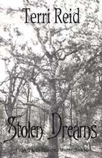 Stolen Dreams - A Mary O'Reilly Paranormal Mystery - Book Fourteen