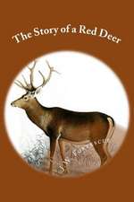 The Story of a Red Deer