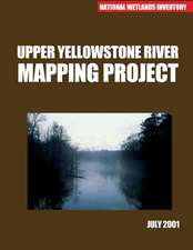 Upper Yellowstone River Mapping Project July 2001