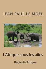 L'Afrique Sous Les Ailes