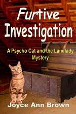 Furtive Investigation