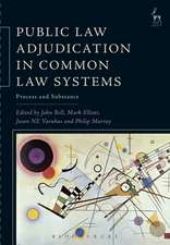 Public Law Adjudication in Common Law Systems: Process and Substance