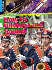 How to Understand Sound