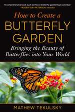 How to Create a Butterfly Garden: Bringing the Beauty of Butterflies into Your World