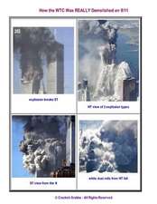 How the Wtc Was Really Demolished on 9/11