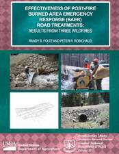 Effectiveness of Post-Fire Burned Area Emergency Response (Baer) Road Treatments