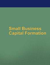 Small Business Capital Formation