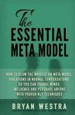 The Essential Meta Model