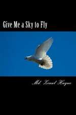 Give Me a Sky to Fly