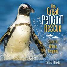 The Great Penguin Rescue the Great Penguin Rescue