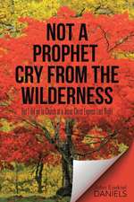 Not a Prophet Cry from the Wilderness