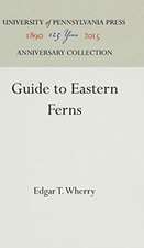 Guide to Eastern Ferns