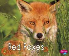 Red Foxes