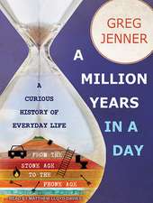 A Million Years in a Day: A Curious History of Everyday Life from the Stone Age to the Phone Age