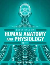 Essentials of Human Anatomy and Physiology