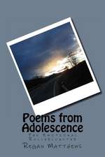 Poems from Adolescence