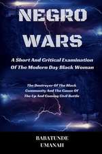 Negro Wars - A Short and Critical Examination of the Modern Day Black Woman