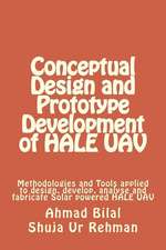 Conceptual Design and Prototype Development of Hale Uav