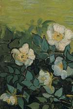 Roses Sauvages, Vincent Van Gogh