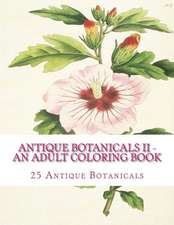 Antique Botanicals II - An Adult Coloring Book: How to Program IOS Applications Using Apple Swift Even If You've Never Programmed Before