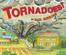 Tornadoes!