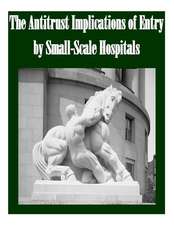 The Antitrust Implications of Entry by Small-Scale Hospitals