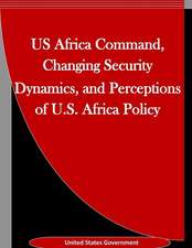 Us Africa Command, Changing Security Dynamics, and Perceptions of U.S. Africa Policy