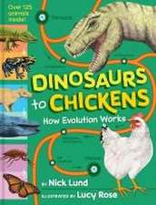 Dinosaurs to Chickens