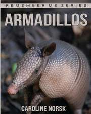 Armadillo