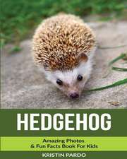 Hedgehog