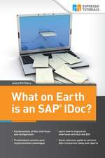 What on Earth Is an SAP Idoc?