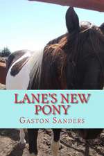 Lane's New Pony