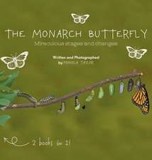 The Monarch Butterfly and The Cecropia Moth: Miraculous Stages and Changes